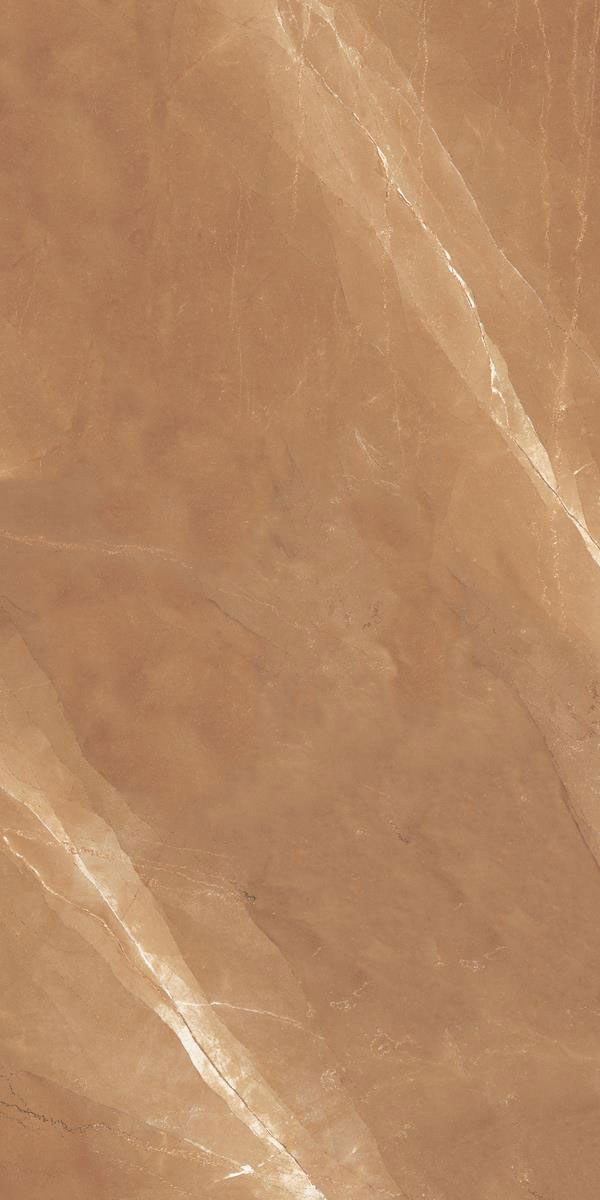 ARNAVA BRONZ P2